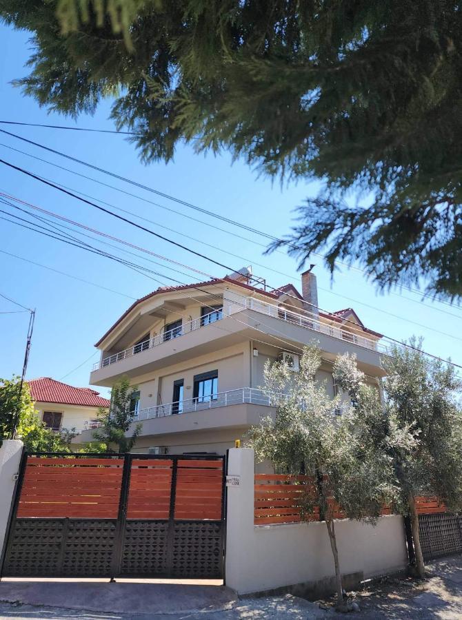 Modern Apartment By Ceni, Elbasan Eksteriør billede